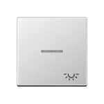 Aluminium