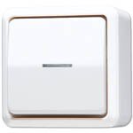 Wipp-Kontrollschalter KO5 10AX 250V AP600