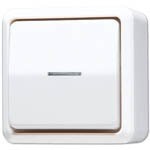 Wipp-Kontrollschalter KO5 10AX 250V AP600