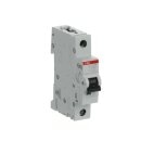 ABB Stotz S&J Sicherungsautomat S201M-K2 (1er)
