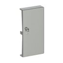 Busch-Jaeger 6234-22-866 Wippe 2-fach rechts, mit Symbol "Dimmer" 2CKA006220A0423