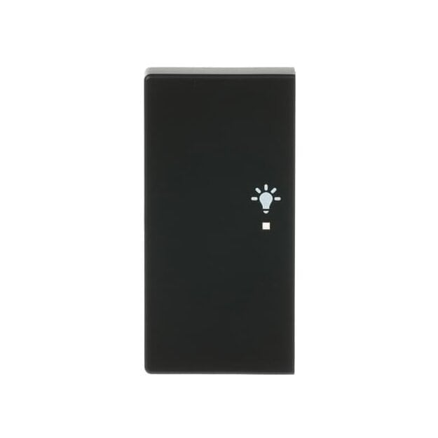 Busch-Jaeger 6231-21-885 Wippe 2-fach links, mit Symbol "Licht" 2CKA006220A0504