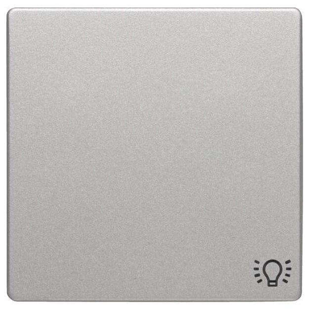Berker 16206044 Wippe mit Aufdruck Symbol Licht Q.1/Q.3 Alu samt lackiert
