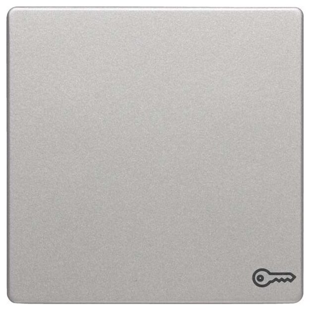 Berker 16206064 Wippe mit Aufdruck Symbol Tür Q.1/Q.3 Alu samt lackiert