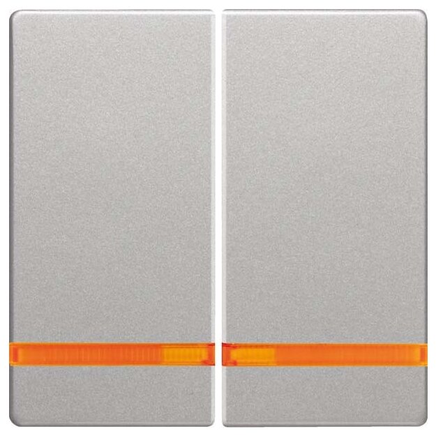 Berker 16276084 Wippe 2-fach mit Linse Q.1/Q.3 Alu samt lackiert