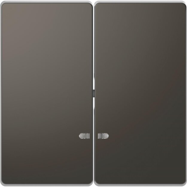 Merten MEG3420-6034 Doppelwippe mit Kontrollfenster Anthrazit System Design