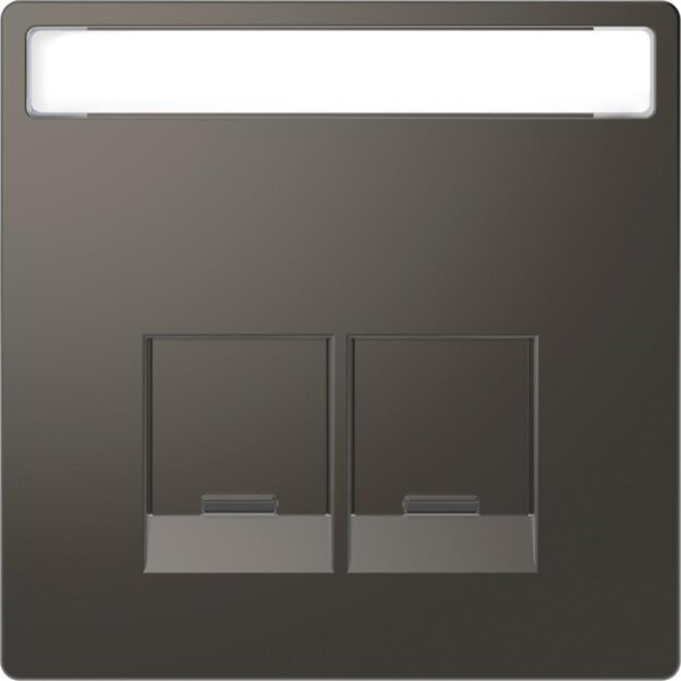 Merten MEG4574-6034 Zentralplatte für Schneider Electric-Connector 2-fach Anthrazit System Design