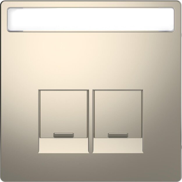 Merten MEG4574-6050 Zentralplatte für Schneider Electric-Connector 2-fach Nickelmetallic System Design