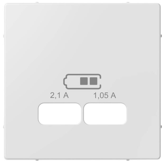 Merten MEG4367-0325 Zentralplatte für USB Ladestation-Einsatz Aktivweiß glänzend System M