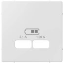 Merten MEG4367-0325 Zentralplatte für USB...