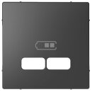 Merten MEG4367-6034 Zentralplatte für USB...