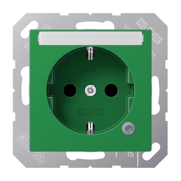 Jung ABA1520BFNAKOGN SCHUKO Steckdose mit Schriftfeld 6x46mm (Duroplast antibakteriell) Grün Serie AS
