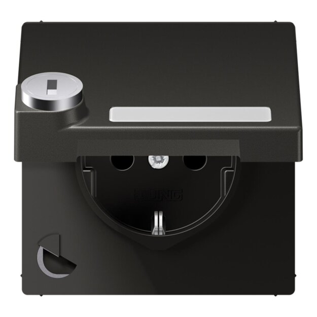 Jung AL1520NAKLSLAN SCHUKO Steckdose m.Schriftfeld u.Klappdeckel (lackiertes Aluminium) Anthrazit Serie LS