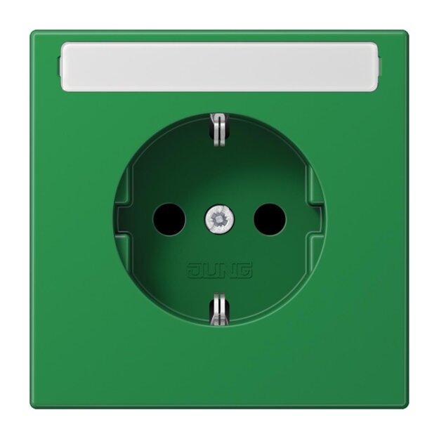 Jung LS1520BFNAGN SCHUKO Steckdose mit Schriftfeld 9x58mm (Thermoplast bruchsicher) Grün Serie LS
