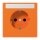 Jung LS1520BFNAO SCHUKO Steckdose mit Schriftfeld 9x58mm (Thermoplast bruchsicher) Orange Serie LS