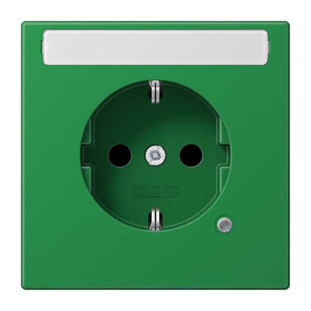 Jung LS1520BFNAKOGN SCHUKO Steckdose mit Schriftfeld 9x58mm (Thermoplast bruchsicher) Grün Serie LS