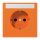 Jung LS1520BFNAKOO SCHUKO Steckdose mit Schriftfeld 9x58mm (Thermoplast bruchsicher) Orange Serie LS