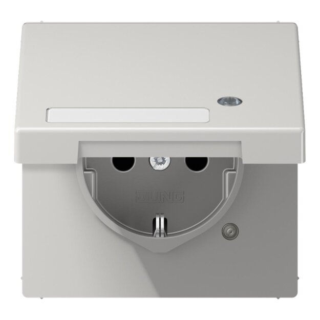 Jung LS1520NAKLKOLG SCHUKO-Steckdose mit Klappdeckel Lichtgrau Serie LS