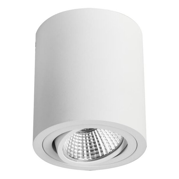 Brumberg 12063173 LED-Anbaustrahler 230 V AC 8 W FERU Weiß
