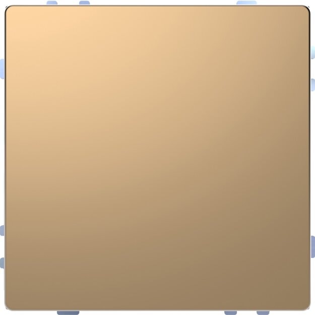 Merten MEG6180-6051 KNX Tastsensor Pro Champagnermetallic System Design