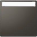 Merten MEG3360-6034 Wippe mit Schriftfeld Anthrazit...