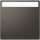Merten MEG3360-6034 Wippe mit Schriftfeld Anthrazit System Design