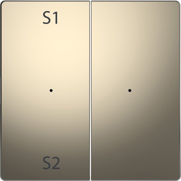 Merten MEG5226-6050 Wippen für Taster-Modul 2-fach (Szene1/2 blank) Nickelmetallic System Design