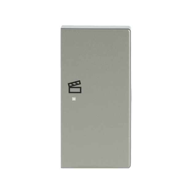 Busch-Jaeger 6233-22-866 Wippe 2-fach rechts, mit Symbol "Szene" (Thermoplast) Edelstahl 2CKA006220A0425