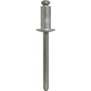 Dehn 528610 Blindniete D 5mm L 10mm AL/V2A (ähnl....