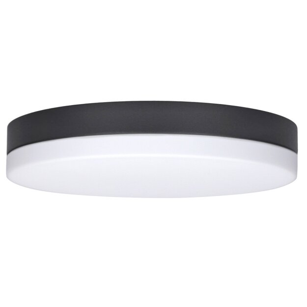 Bega 33681K3 LED-Decken und Wandleuchte mit Opalglas Grafit 3000 K