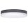 Bega 33681AK3 LED-Decken und Wandleuchte mit Opalglas Silber 3000 K