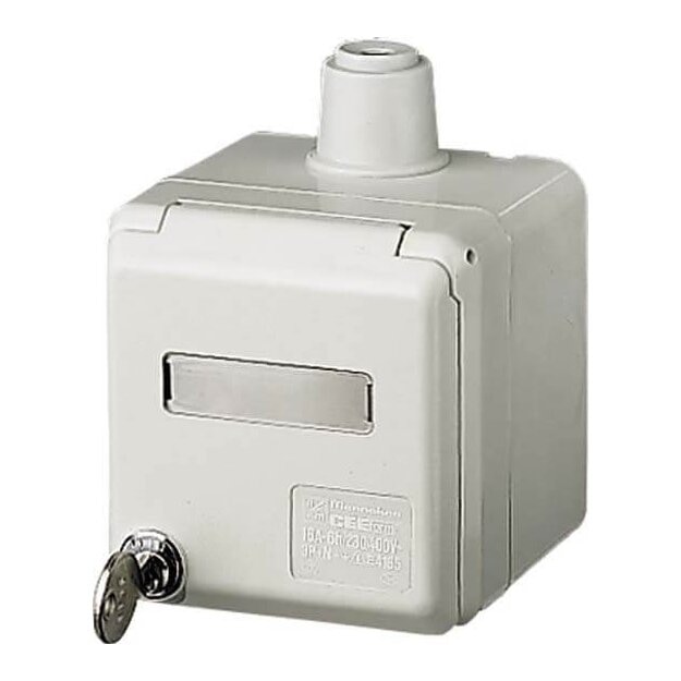 Mennekes Schuko-Wanddose Cepex 16A 2p+E 230V IP44 4976