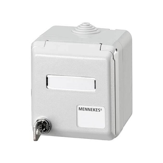 Mennekes Datendose Cepex Lichtgrau 4340