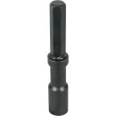 Dehn 620008 Hammereinsatz für Tiefenerder D20mm...