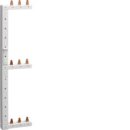 Hager Phasenschiene senkrecht KCL368L (1er)