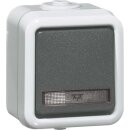 Peha 00304111 Kontroll-Taster Grau