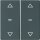 Berker 80961326 Abdeckung für Tastsensor-Modul 2-fach mit Pfeil-Symbol Q.x Anthrazit