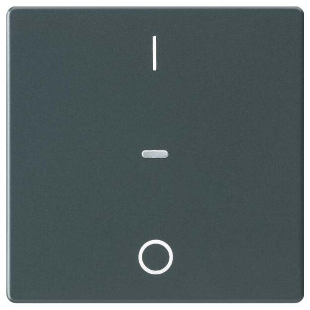 Berker 80962226 Abdeckung für Tastsensor-Modul 1-fach mit I/O-Symbol Q.x Anthrazit