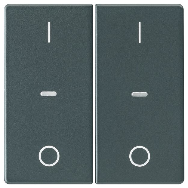 Berker 80962326 Abdeckung für Tastsensor-Modul 2-fach mit I/O-Symbol Q.x Anthrazit