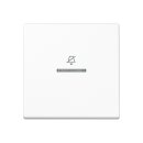 Jung ARUKO5DWW Hotelwippe, Innenstelle (Duroplast)...