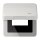 Jung CD590KLUSBLG Klappdeckel USB mit Zentralplatte (Duroplast) Lichtgrau Serie CD
