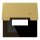 Jung ME2990KLUSBC Klappdeckel USB mit Zentralplatte (Messing) Messing Serie LS
