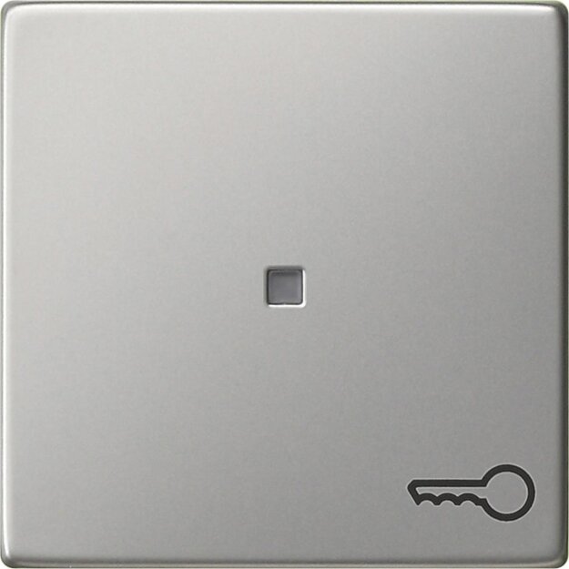 Gira 0287600 Wippe Symbol Tür System 55 Edelstahl
