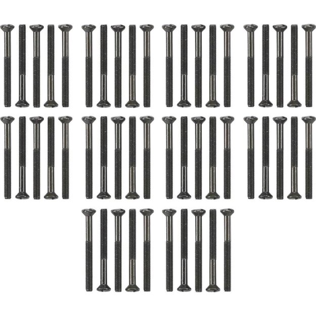Gira 818100 Set Linsenkopfschrauben 50 Stck. WG AP
