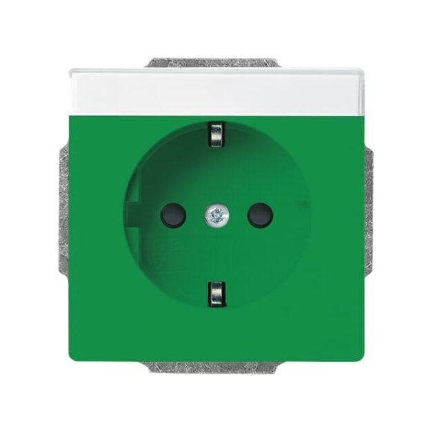 Busch-Jaeger 20 EUCNB-13-82 SCHUKO® Steckdosen-Einsatz mit Beschriftungsfeld Grün 2CKA002013A5424
