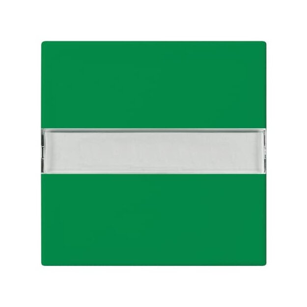 Busch-Jaeger 2510 NLI-13-914 Wippe mit Beschriftungsfeld Grün 2CKA001731A4009