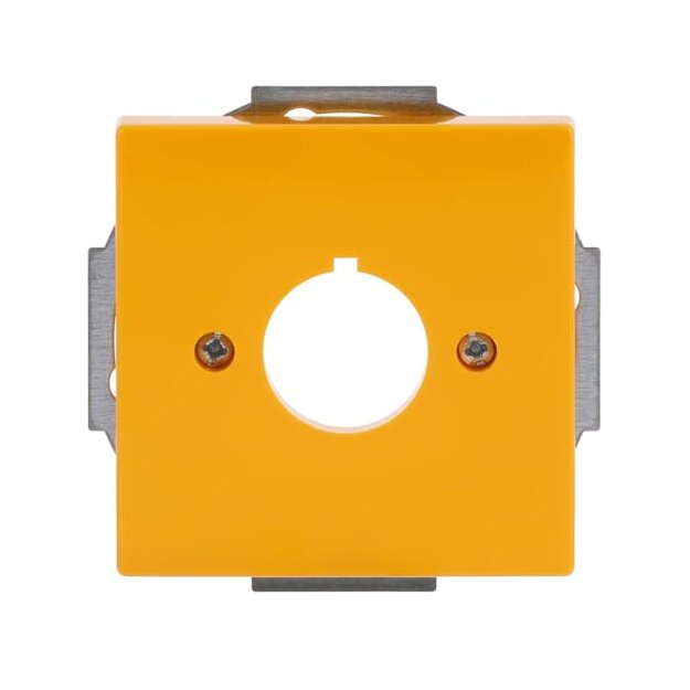 Busch-Jaeger 2533-82-15 Zentralscheibe mit Tragring Gelb 2CKA001724A4382