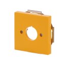 Busch-Jaeger 2533-82-15 Zentralscheibe mit Tragring Gelb...
