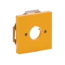 Busch-Jaeger 2533-82-15 Zentralscheibe mit Tragring Gelb 2CKA001724A4382