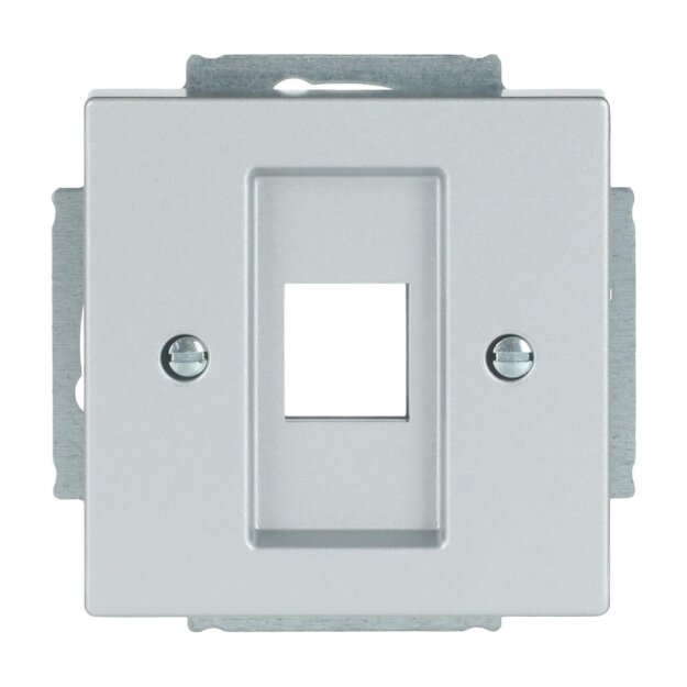 Busch-Jaeger 2561-02-83 Zentralscheibe mit Tragring Alusilber 2CKA001753A0393